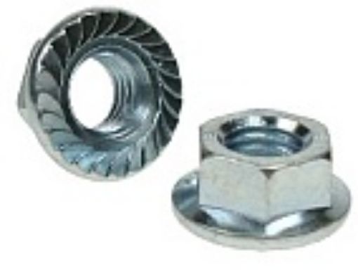 Picture of M8 Flanged Nut Serrated DIN 6923 Grade 8 BZP